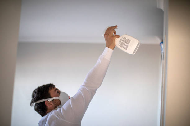 Home Mold Removal in Lake Arthur, LA