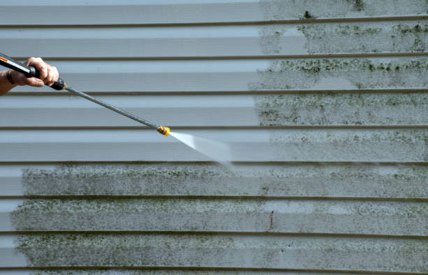 Best Mold Damage Repair  in Ke Arthur, LA