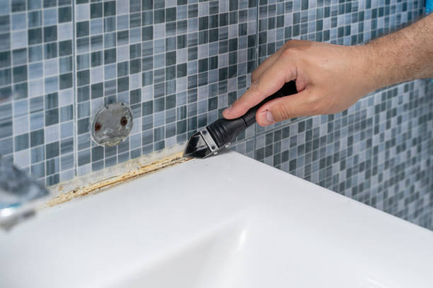 Best Attic Mold Removal  in Ke Arthur, LA