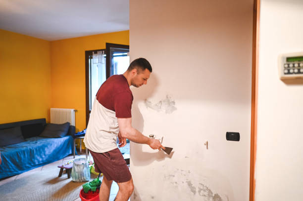 Mold Removal Process in Lake Arthur, LA