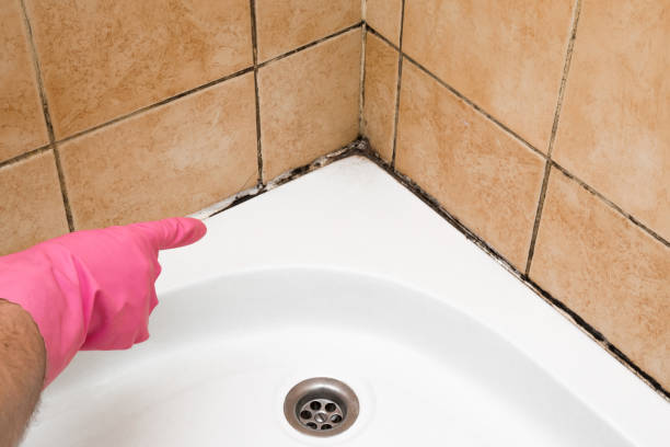 Best Office Mold Removal Services  in Ke Arthur, LA